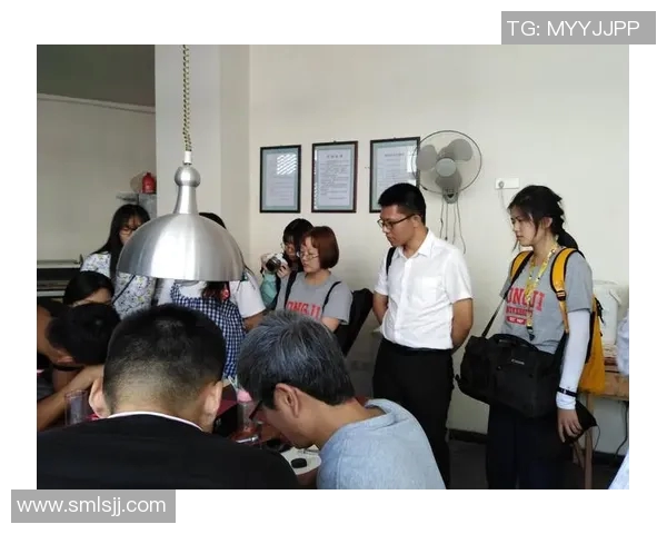 上海攀岩队运营模式分析与发展前景探讨 上海攀岩队运营模式分析与发展前景探讨