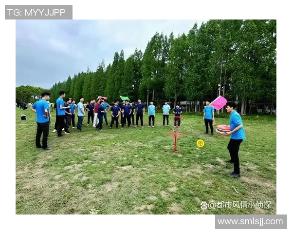 团结一心飞盘竞技杭州飞盘队的团队协作与默契之道