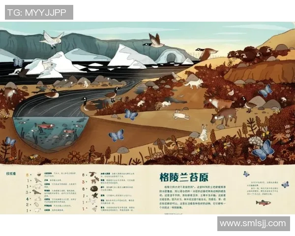 兔子与足球明星的奇妙联系揭示了运动与动物世界的有趣交汇 兔子与足球明星的奇妙联系揭示了运动与动物世界的有趣交汇