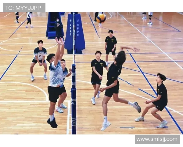 南京排球队的默契配合与战术探讨聚焦排球的精彩瞬间与团队精神