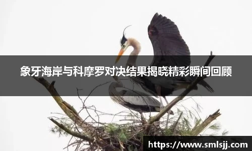 好博体育APP