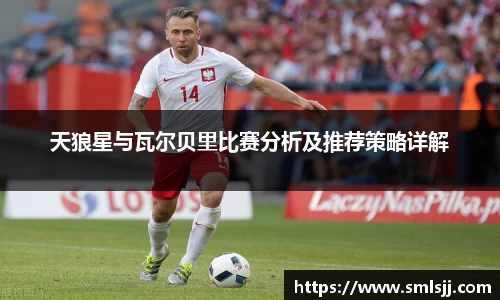 天狼星与瓦尔贝里比赛分析及推荐策略详解